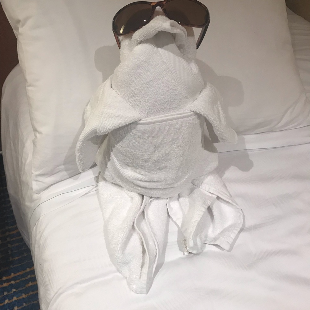 Meet your Posher, Betty